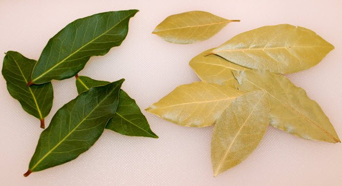 red bay leaves