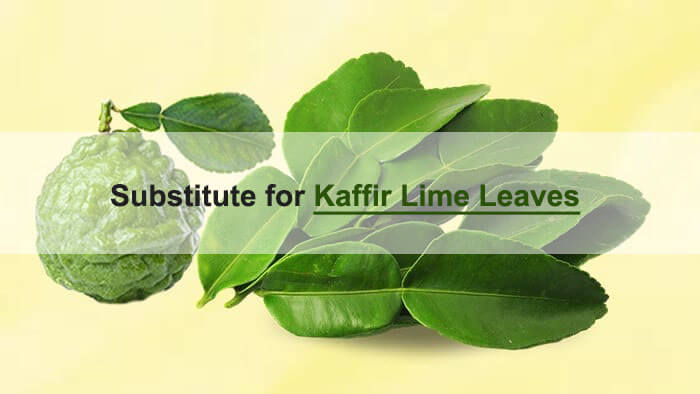 kaffir lime leaves substitute