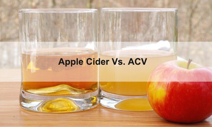 apple cider vs acv