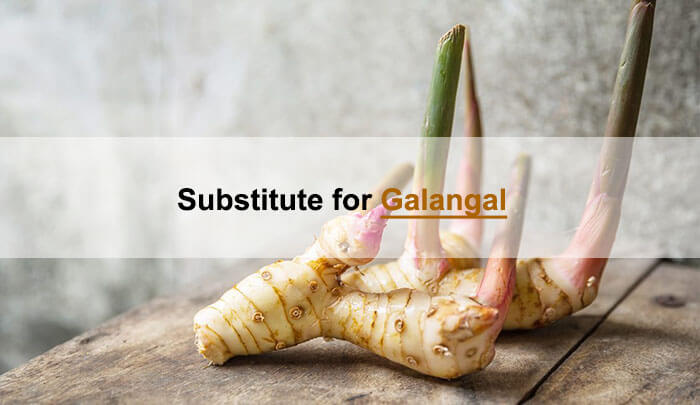 galangal substitute