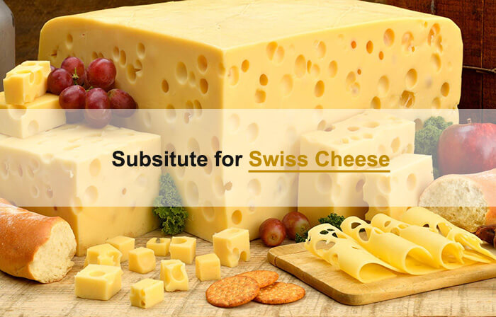 swiss cheese substitute