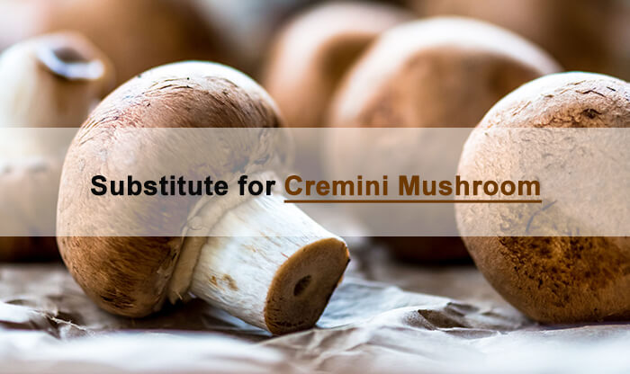 cremini mushroom sub