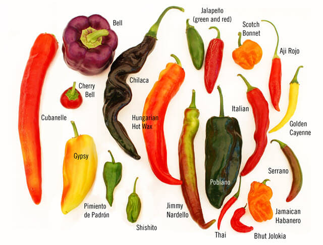 peppers spices