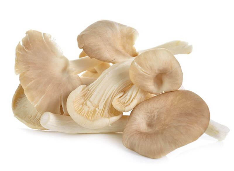 abalone mushrooms