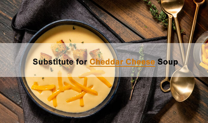 cheddar cheese soup sub
