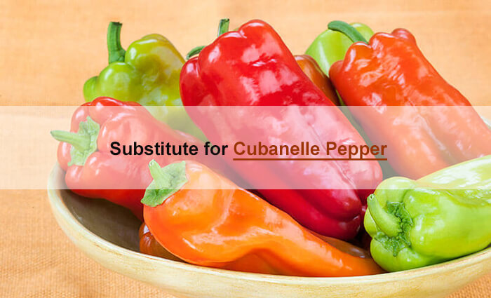 cubanelle pepper sub