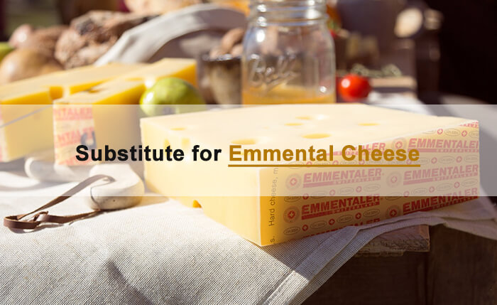 emmental cheese sub