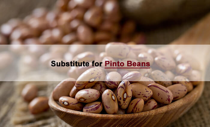 pinto beans sub