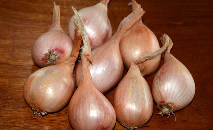 super sweet onions