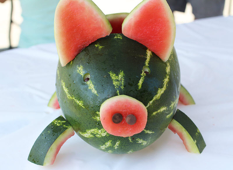 watermelong pig