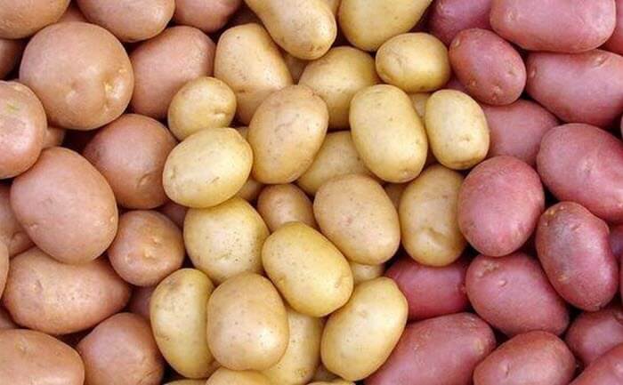 different potatoes