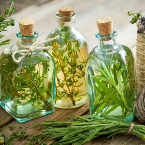 homemade tarragon vinegar