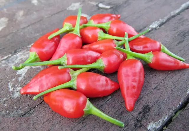 peruvian drop peppers