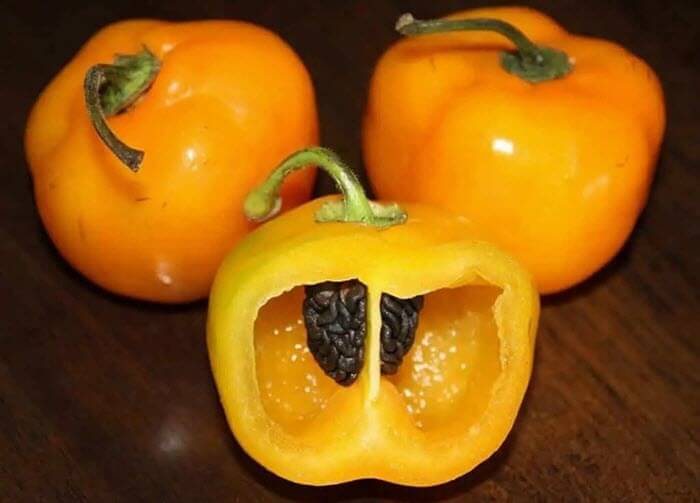 manzano peppers