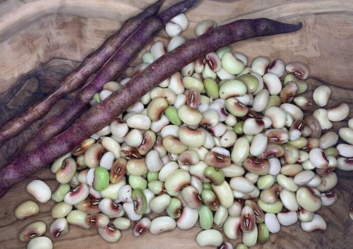 purple hull peas