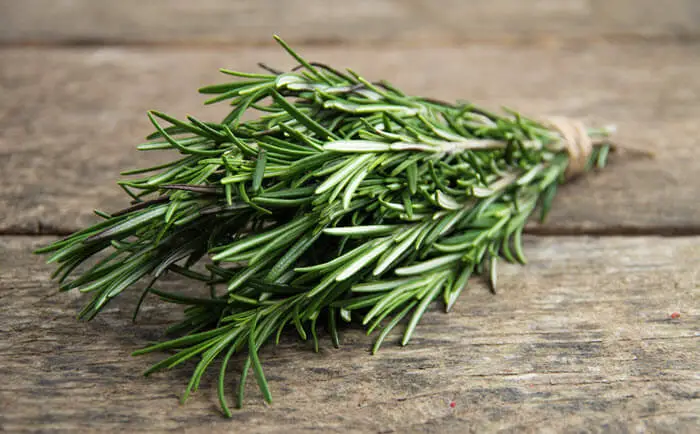 rosemary on desk