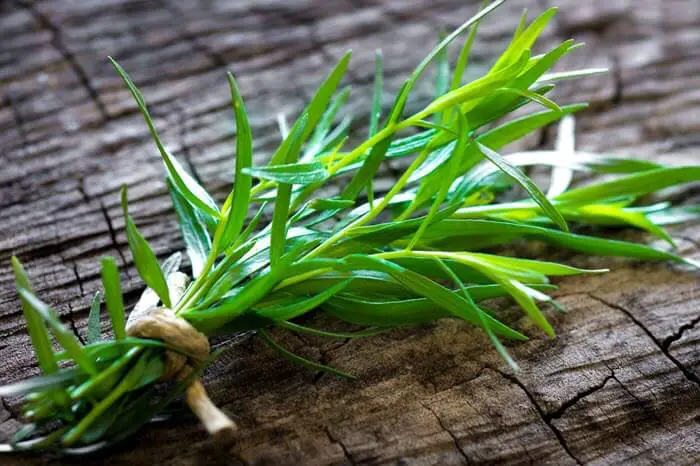 tarragon leaves