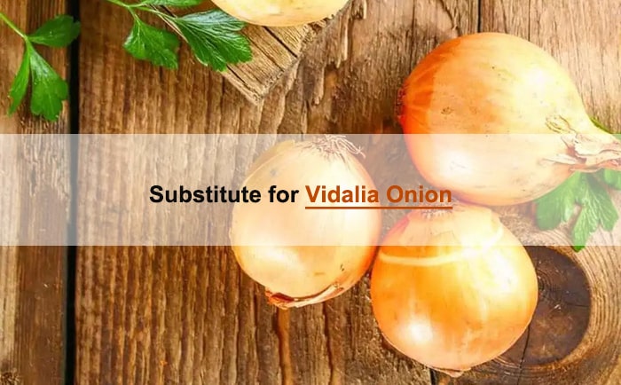 vidalia onion sub