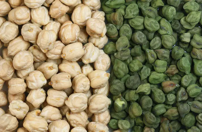 white green chickpea