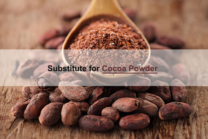 cocoa powder sub