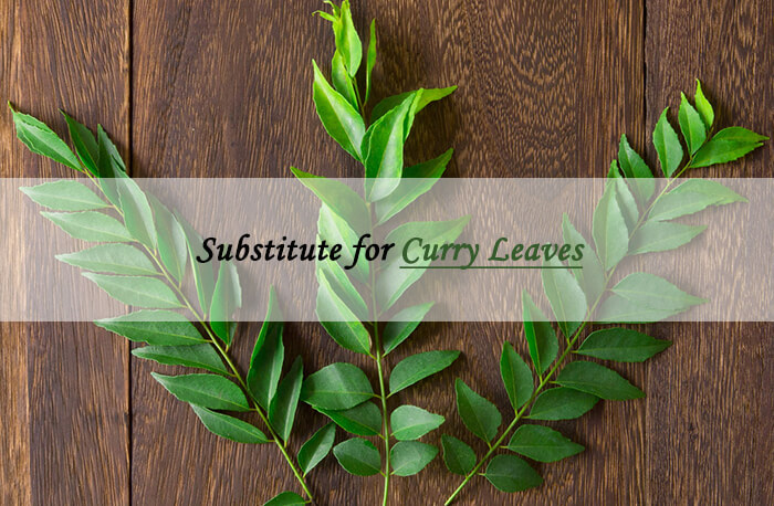 curry leaves sub