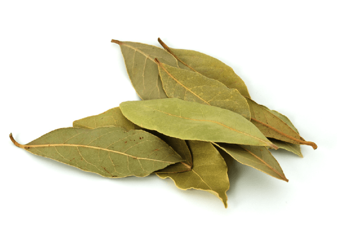 daun salam leaves