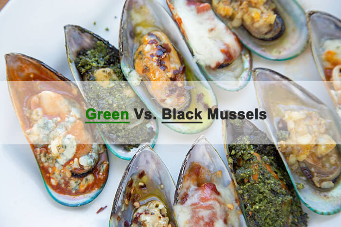 green vs black mussels