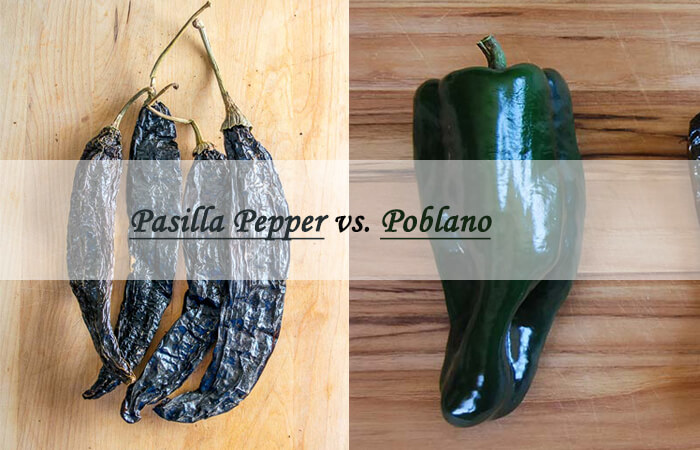 pasilla pepper vs poblano