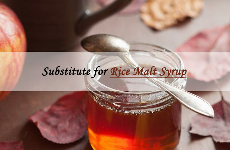 rice malt syrup sub