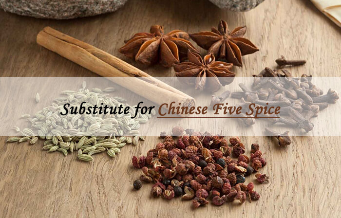 chinese five spice sub
