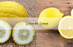 citron vs lemon