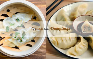 gyoza vs dumplings
