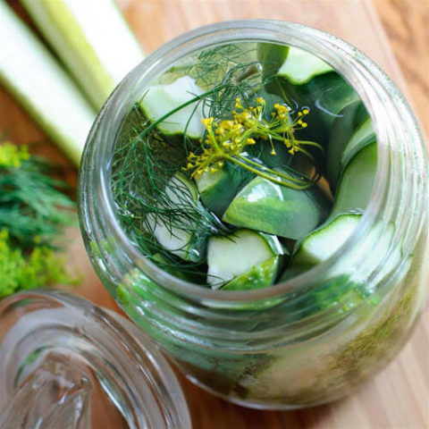 A Basic Refrigerator Dill Pickle Recipe