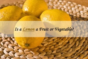is lemon fruit or vegetable
