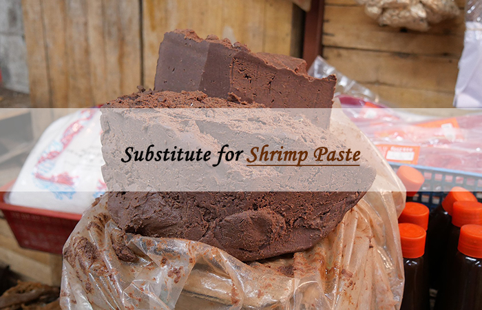 shrimp paste sub