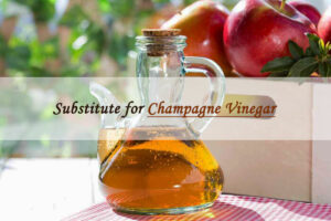 champagne vinegar sub