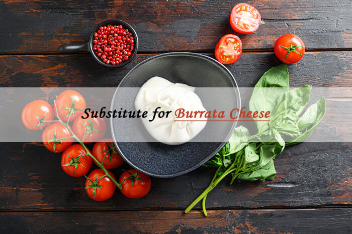 burrata cheese sub