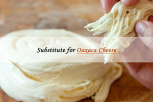 oaxaca cheese sub