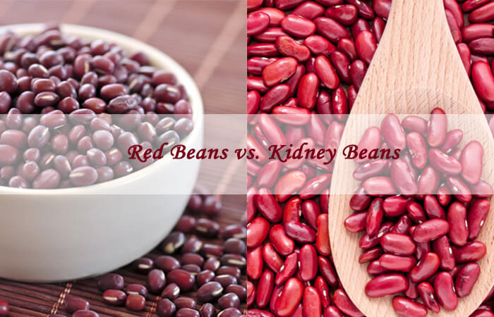 red vs kidney beans
