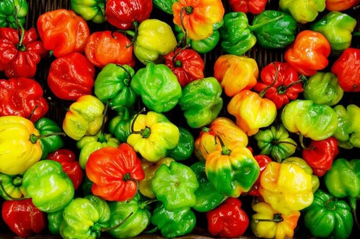 fresh habanero peppers