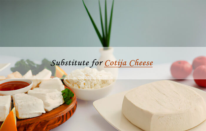 cotija cheese sub