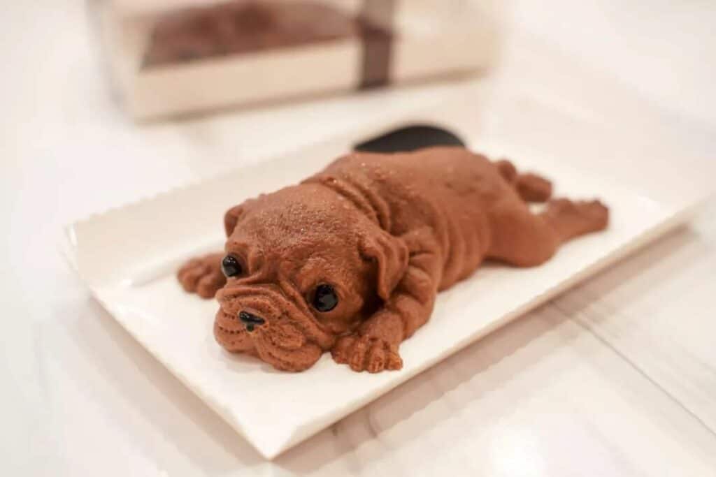 mousse puppy dog
