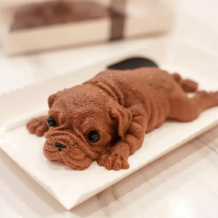 Chocolate Puppy Mousse