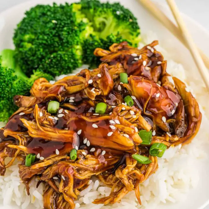 Crockpot Teriyaki Chicken