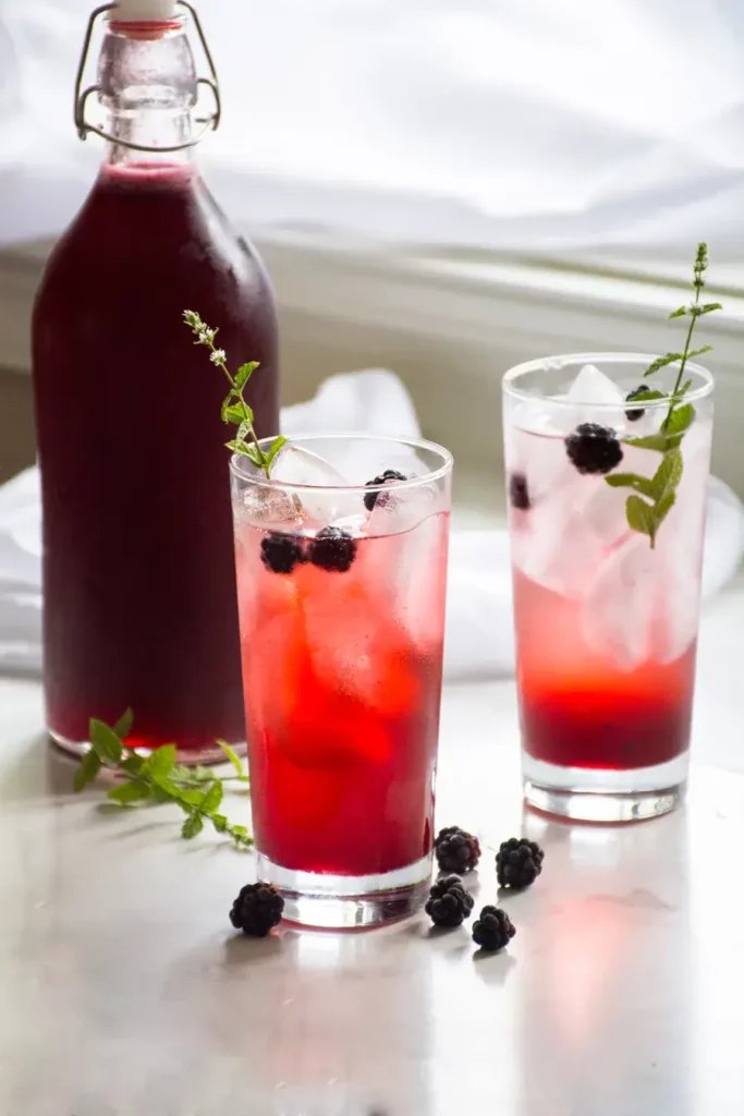 Berry Shrub Mocktail
